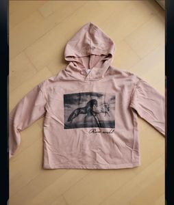 Pink Horse Graphic Hoodie