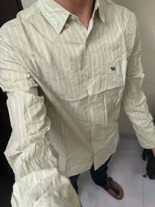 The bear house Light Green Striped Casual Shirt