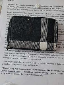 Bovi's Plaid Zippered Coin Pouch