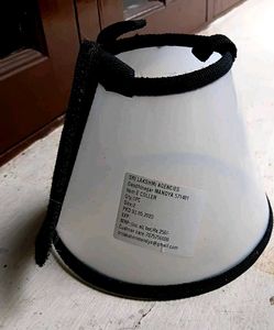 Cat / Small Pet Cone Collar [ New With Tag ]