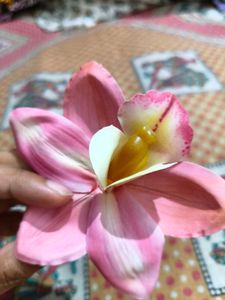 Beautiful Pink Orchid Hair Clip