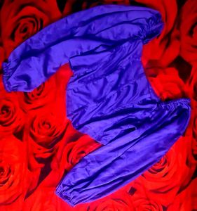 Purple Satin Corset Top with Puff Sleeves