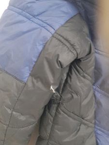 Winter Jacket
