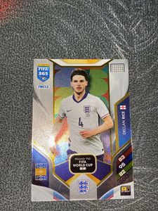 fifa world cup 2026 Rice