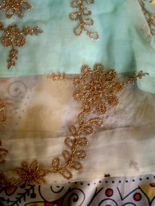 Designer Net Suit