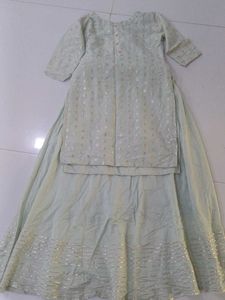 Elegant Pastel Lehenga Choli Set