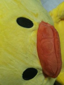 duck