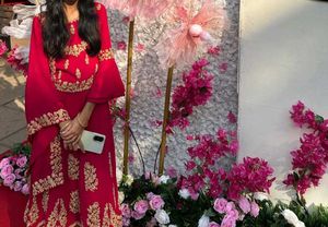 Stunning Red Embellished Lehenga Choli