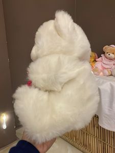 Adorable Plush Teddy Bear