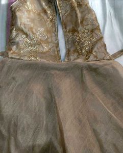 Exquisite Gold Embellished Gown
