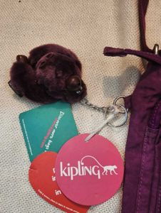 Kipling Crossbody Bag - Plum Color