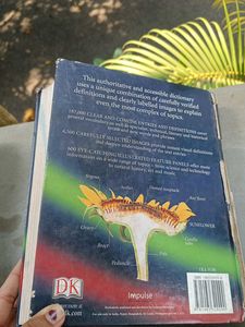 Illustrated Oxford Dictionary