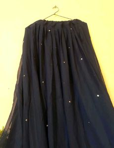 Elegant Navy Blue Embellished lehnga choli