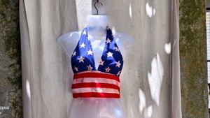 4278. American Flag Bikini Top