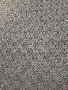 Sparkling Silver dupatta