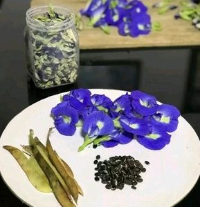 Aprajita Flower Seeds 20 Per Packet