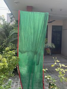 Green Dupatta with Red Border