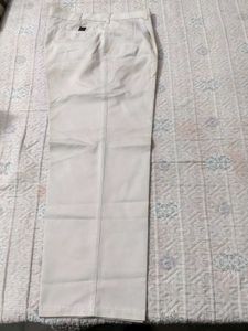 Men's Beige Casual Pants