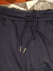 Skull &amp; Roses Print Sweat Shorts