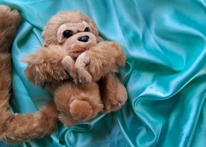 Plushie Bundle | soft toys combo