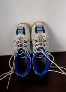 Vintage Proasee Badminton Shoes