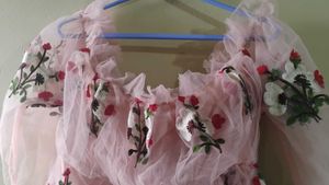 Sheer Pink Embroidered Ruffle Top