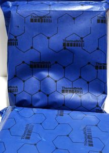 ThermoBrick Container