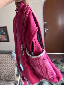 Skybags Pink Backpack