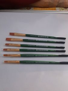 Fine Art Paint Brushes  Set Of 6 Brushes No.38,43,45,45,65,65