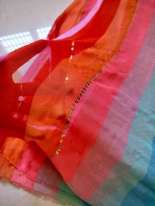 Rainbow Striped Sequin saree