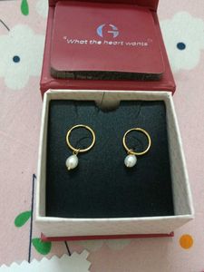 Golden Pearl Drop Hoop Earrings