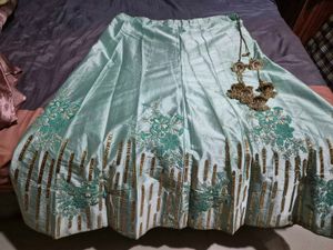 Embroidered Lehenga Skirt