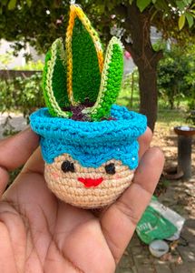 Crocheted Plant Pot Decor