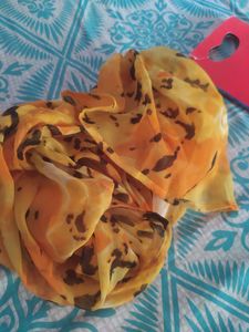 New Satya Paul Printed Stole
