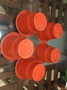 Flower Pots (Set of 5)