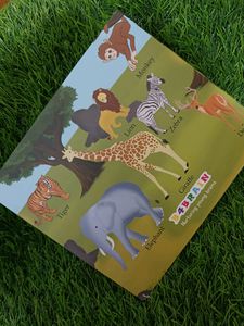 Visit To The Zoo