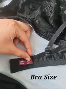 Elegant Black Lace Bra &amp; Panty Set