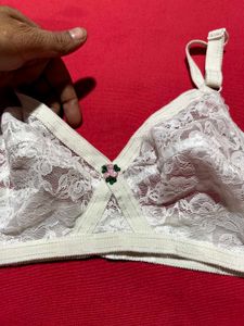 White Lace Bra (36C)