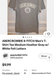 Abercrombie Grey Graphic T-Shirt