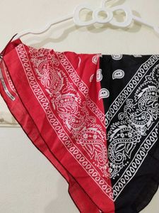 Red and Black Paisley Bandana