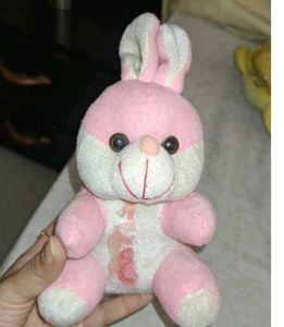 Let Us C , Engg Physics, Drawing And Bunny