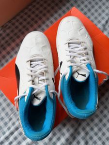 Puma Tenaz Indoor Badminton/Gym Shoes (UK 7)
