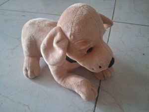 Cute Plush Dog Toy