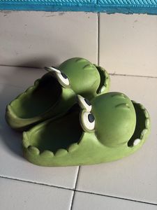 Cute Green Crocodile clogs