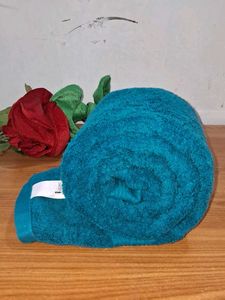 Solimo Teal Bath Towel 💙