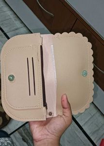 Combo of Clutch Purse and Fuzzy Pouch