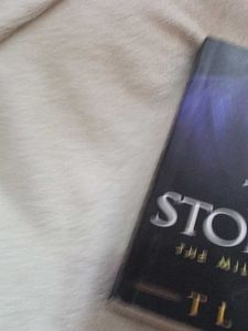 The Stopover by T.L. Swan