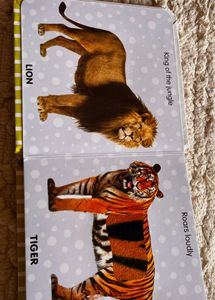 Touch and Feel Jungle Animals Book