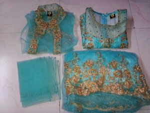Gorgeous Sky Blue &amp; Gold Ethnic Party Wear 👗