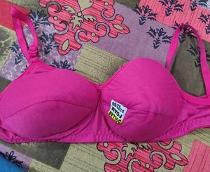 Dollar Pink Foam Bra